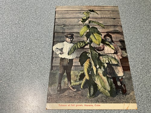 1910 posted philadelphia - posted, to